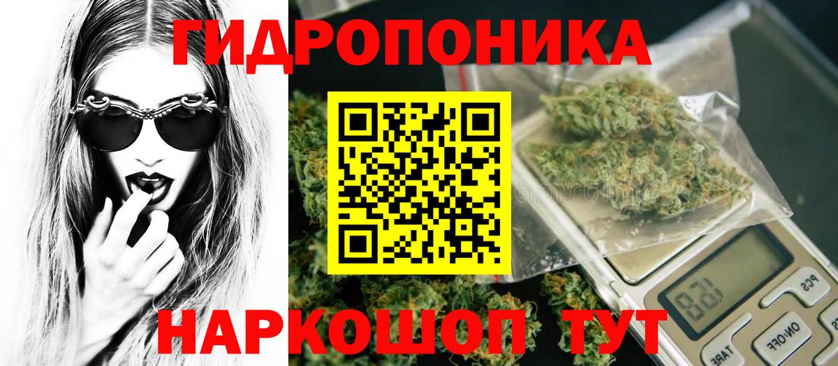 Канабис SATIVA & INDICA  Вход с VPN  Шишки марихуана конопля  Бошки Шишки SATIVA & INDICA  МАРИХУАНА марихуана  Трёхгорный 